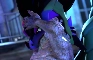 [sorta vore] Loop: Grenn and Reptile - Eat You Up