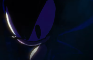 THE WEREHOGS RAGE