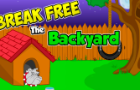 Break Free The Backyard