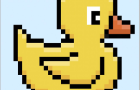 Ducky adventure