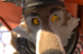 Movie: Dire and Wendell - Mutt Life