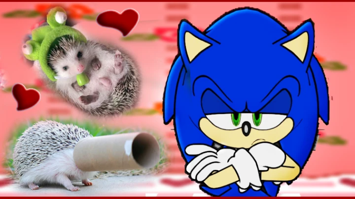 If Sonic The Hedgehog was in a Cute Hedgehogs Compilation Video