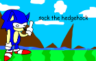 sock the hedgehock