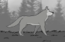 Dog Walk 25-October-2023