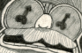 ENORMOUS PENIS (ANIMATIC)