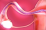 Inside Tifa's Belly