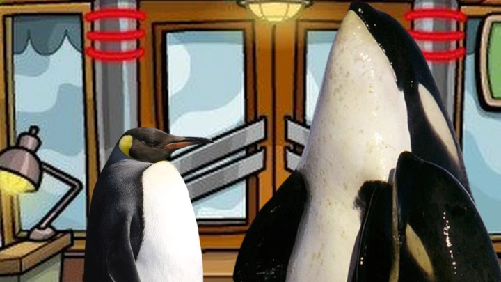 A Killer Whale Sneaks Into The Club Penguin Pizza Parlor