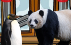 A Panda Sneaks into The Club Penguin Pizza Parlor