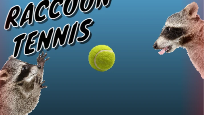 Raccoon Tennis (V-0.1)