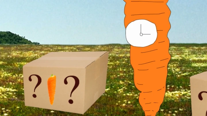 The Riddle of Carrot Clock