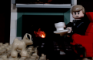 Catch That Pug - LEGO Animation Short
