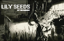Lily Seeds