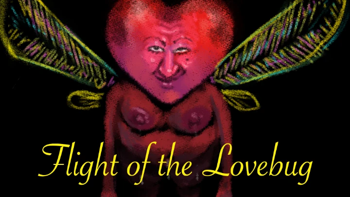 Flight of The Lovebug