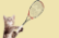 tennis cat