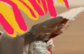 Ketchup Dance