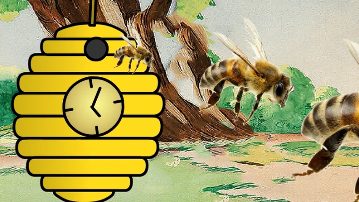 HiveClock Goes to the Park