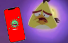 Chuck gets a funny virus on his phone (angry birds)
