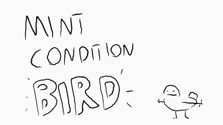 Mint Condition Bird