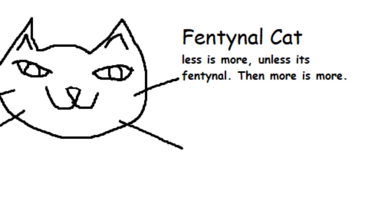 Fentanyl cat