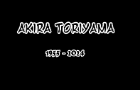Goodbye Toriyama