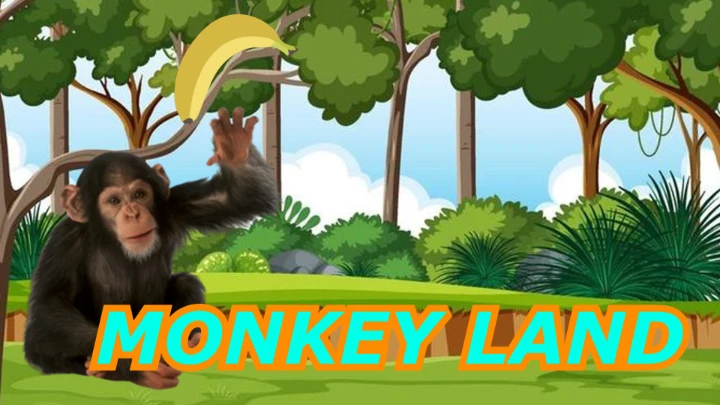 Monkey Land