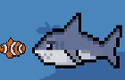 My pet shark