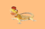 Lizard Time