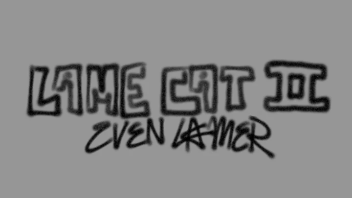 lame cat - "video game"