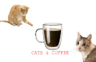 Cats &amp; Coffee