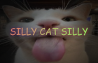 Silly Cat Silly
