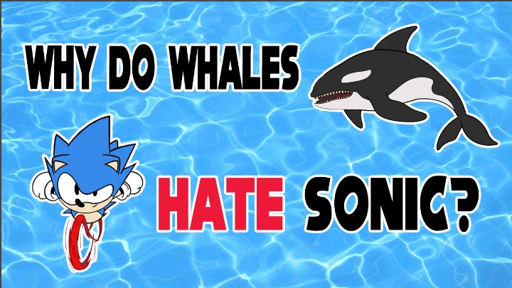 Why Do Whales HATE Sonic?