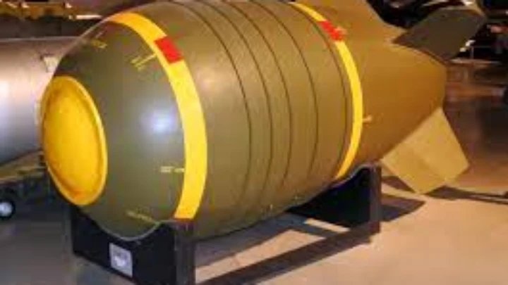 dog and bomb