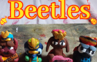 Beetle band