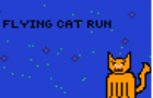 Flying cat run