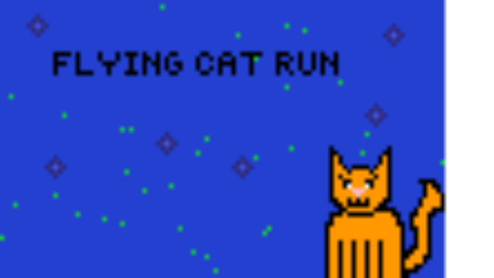 Flying cat run