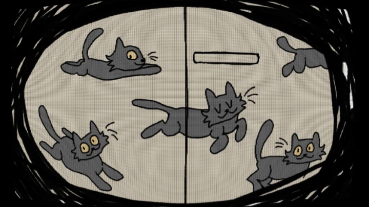 TMBG: Kitten Intro