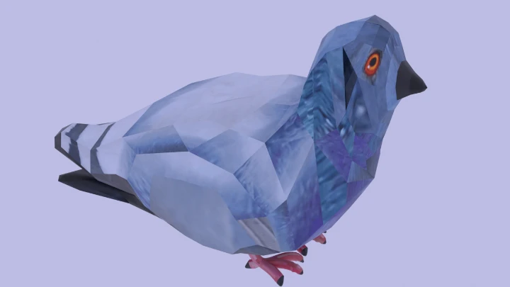 pigeon_spin