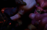 [Dasharky3D] Welcome to hell [4 of 5]