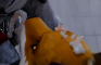 Climax Alt: Volpez and Fennix - Euclid