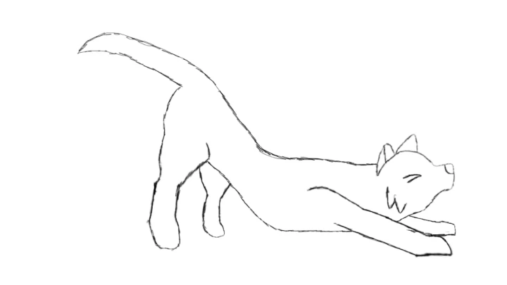 Cat Stretching