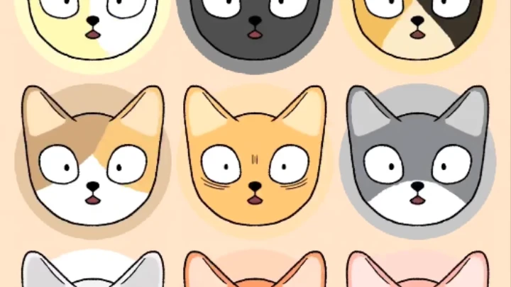 Loading Cats