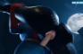 Spider-man & Silk