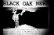 Black Oak: The Adventures Of M.T./Finale