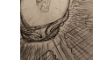 Astronaut's Spirit trapped in Helmet