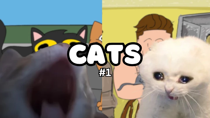 My animated cat compilation 1