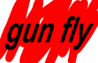 gun fly