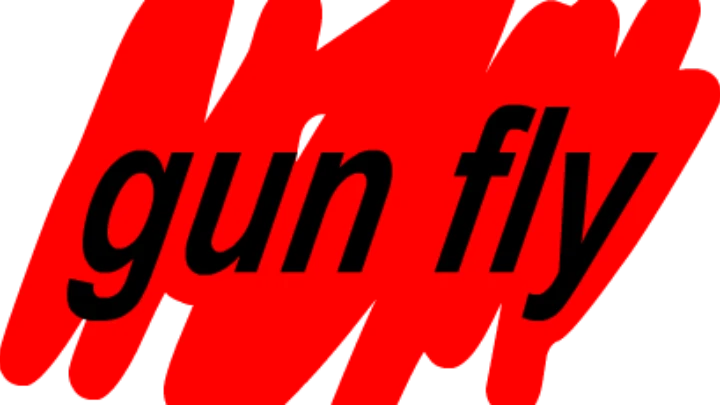 gun fly