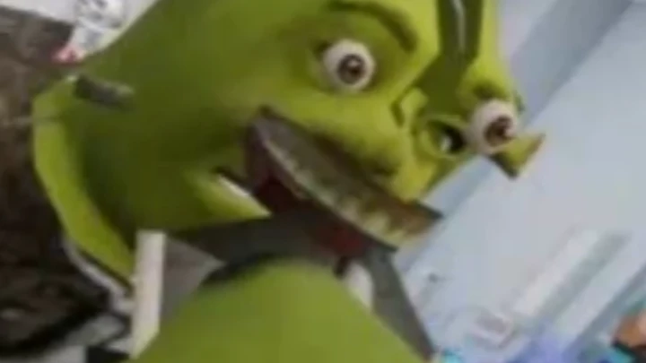 shreks unplanned pregnancy ,