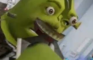 shreks unplanned pregnancy ,