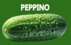 Peppino